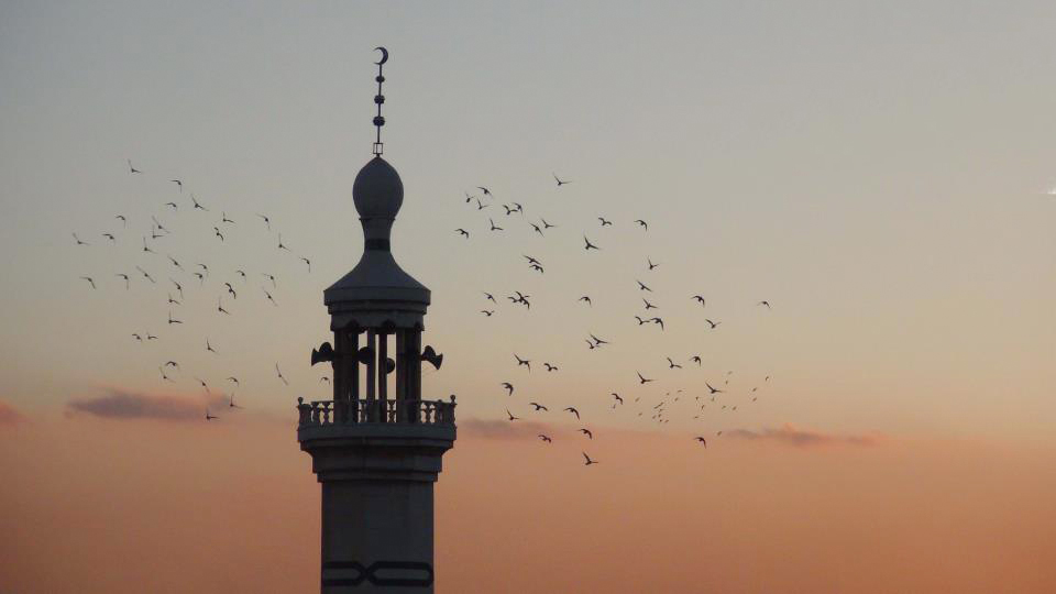 كفر بطنا.. حكاية أرض وتاريخ